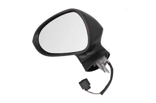 BLIC 5402-10-2002291P Wing mirror