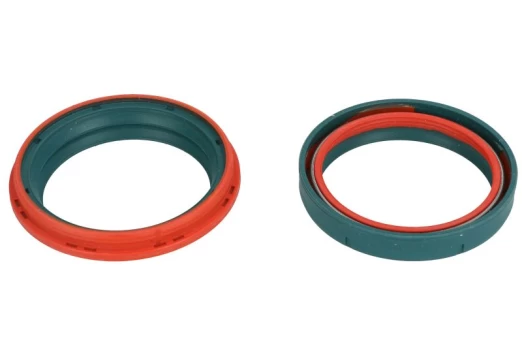 SKF DUAL-48Z Front fork oil seal set
