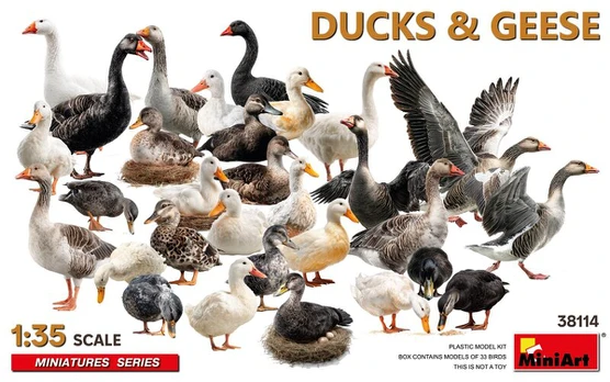 Klijuojamas Modelis MiniArt 38114 Ducks & Geese 1/35