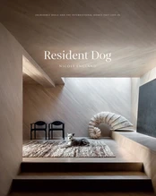 Resident Dog (Volume 2) kaina