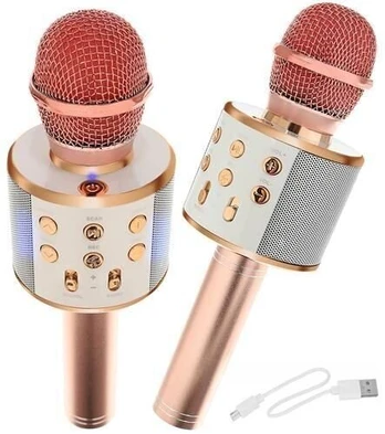 Karaoke Bluetooth