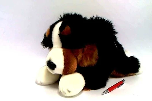 Dubi Plusz Pies Berneński 42cm 49003