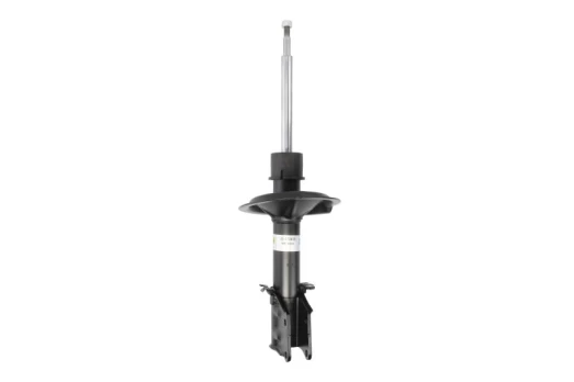 BILSTEIN 22-172433 Shock absorber
