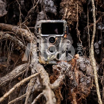 Caruba Wildcamera Moose 4K
