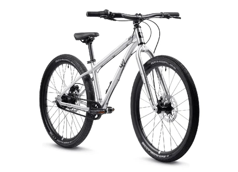Vaikiškas dviratis Early Rider Belter 24 Brushed