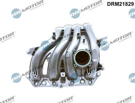 Įsiurbimo kolektoriaus modulis Dr.Motor Automotive DRM21829