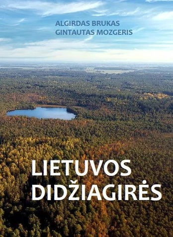 Lietuvos didžiagirės