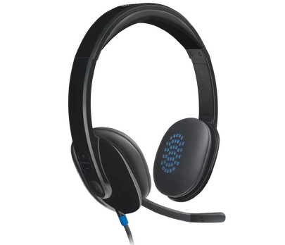 Ausinės Logitech H540 USB (981-000480), juodos