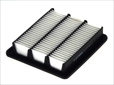 Oro filtras FILTRON AP177/9