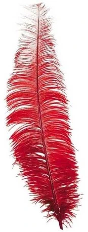 Fiesta Røde strudsefjer 40 cm, 12 stk