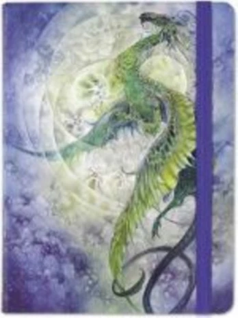 MID DRAGON JOURNAL
