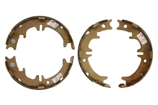 DELPHI LS1892 Brake shoe set