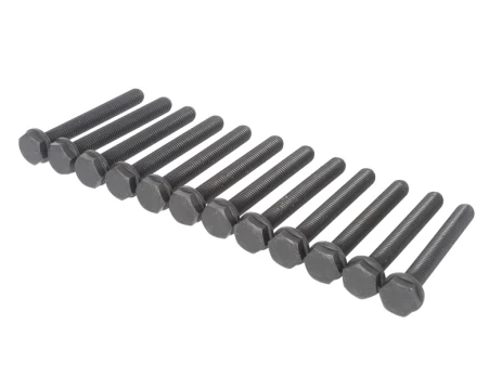 ELRING EL897450 Crank pulley bolt set