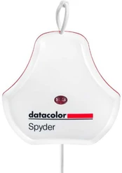 Datacolor Spyder kaina