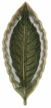 Maku serviravimo lėkštė,lapo formos 23x10cm