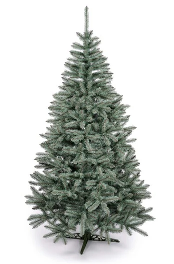 Kalėdinė eglutė, 240 cm