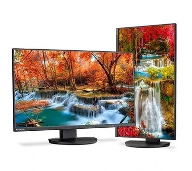 Monitorius NEC MultiSync DD-EA272F