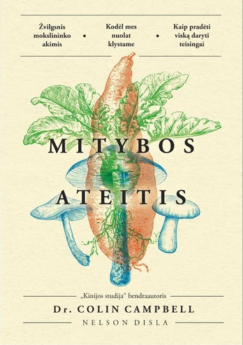 Mitybos ateitis