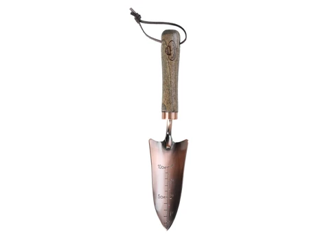 Sodinimo mentelė Copper