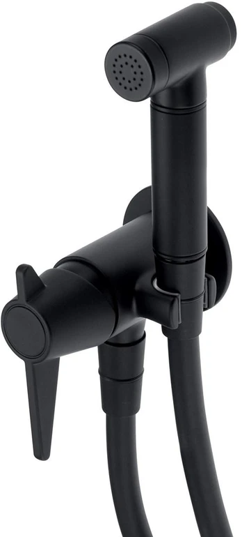 Concealed bidet mixer with bidetta receiver