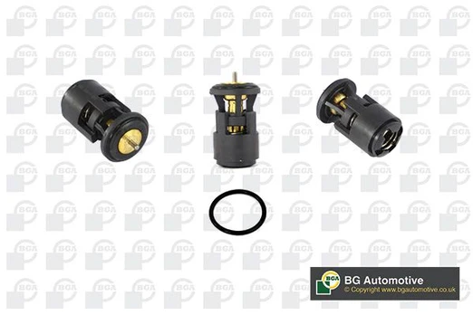 Termostatas, aušinimo skystis BGA CT5240