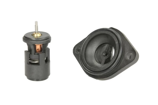 termostatas, aušinimo skystis THERMOTEC D2W004TT
