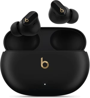 Belaidės ausinės Apple Beats Studio Buds+