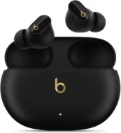 Belaidės ausinės Apple Beats Studio Buds+ kaina