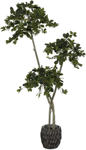 Dirbtinis augalas Alyvmedis daugiakamienis, 180 cm