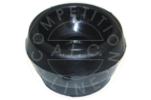Pakabos statramsčio atraminis guolis AIC 50234