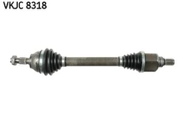 Pusašis SKF VKJC 8318