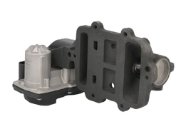 EGR vožtuvas NRF NRF 48676 kaina