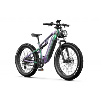 DUOTTS E26 elektrinis dviratis (26") 750W Bafang variklis 48V 20Ah
