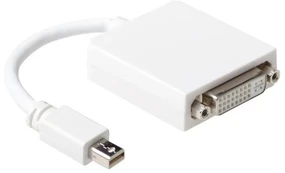 ACT DisplayPort adapteris - 15 cm