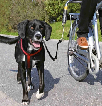 Pavadėlis Trixie Dog Biker, juodas