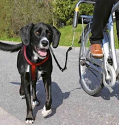 Pavadėlis Trixie Dog Biker, juodas kaina