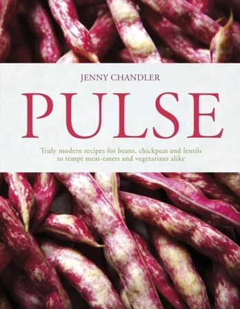 KNYGA Jenny Chandler Pulsas