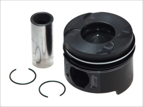 NURAL 87-117900-20 Piston