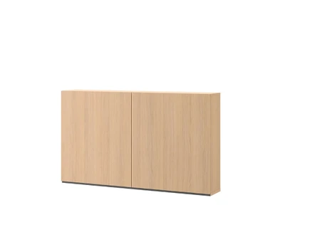 Lentyna MOVE