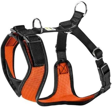 S Petnešos šunims Hunter H92731