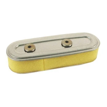Oro filtras