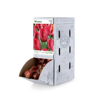 Triumfo tulpės Seadov svogūnėlis ASEJA, 1 vnt., 11/12, Rackbox, 64044111, (R)