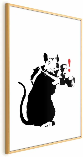 Artgeist Plakatas - Photographer Rat