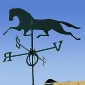 Vėjarodis Mustang