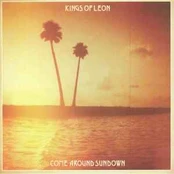 Vinyl (LP) Kings Of Leon - Come Around Sundown