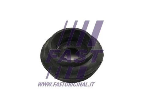 Pakabos statramsčio atraminis guolis FAST FT12014