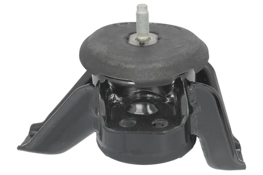 Variklio montavimas LEMFÖRDER 45455 01