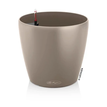 Lechuza CLASSICO Color 21 Smėlinė