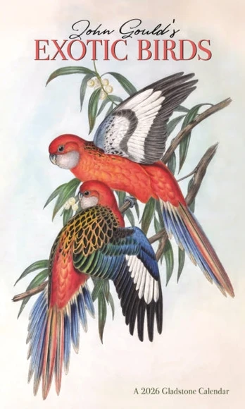 Goulds Exotic Birds Deluxe Wall Sunday S
