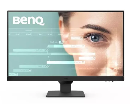Monitorius BENQ GW2490T